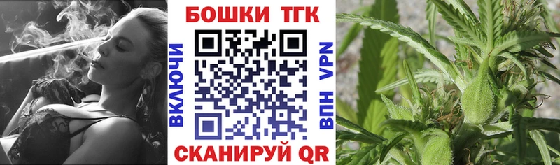 Бошки Шишки план Темников